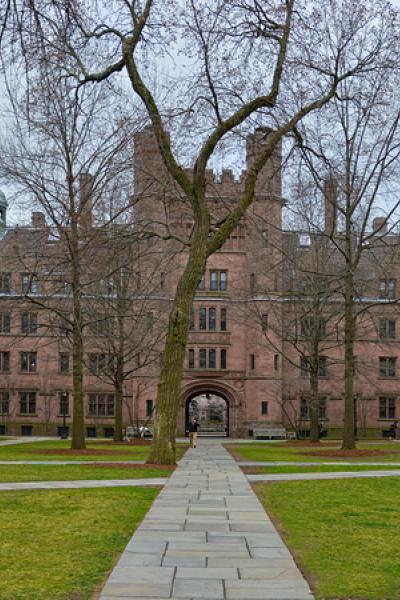 Yale University Invested in New $400 Million Crypto-Focused Fund, Says Report